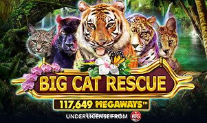 Imagem do jogo Big Cat Rescue Megaways no 8822bet